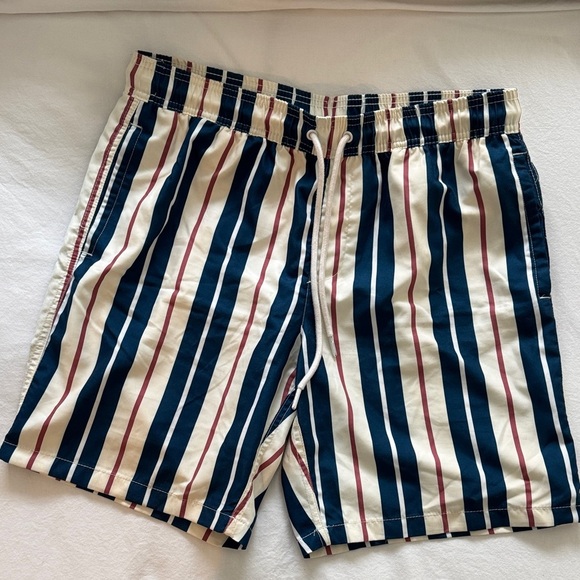 Striped Men's Swim Shorts - Picture 3 of 6